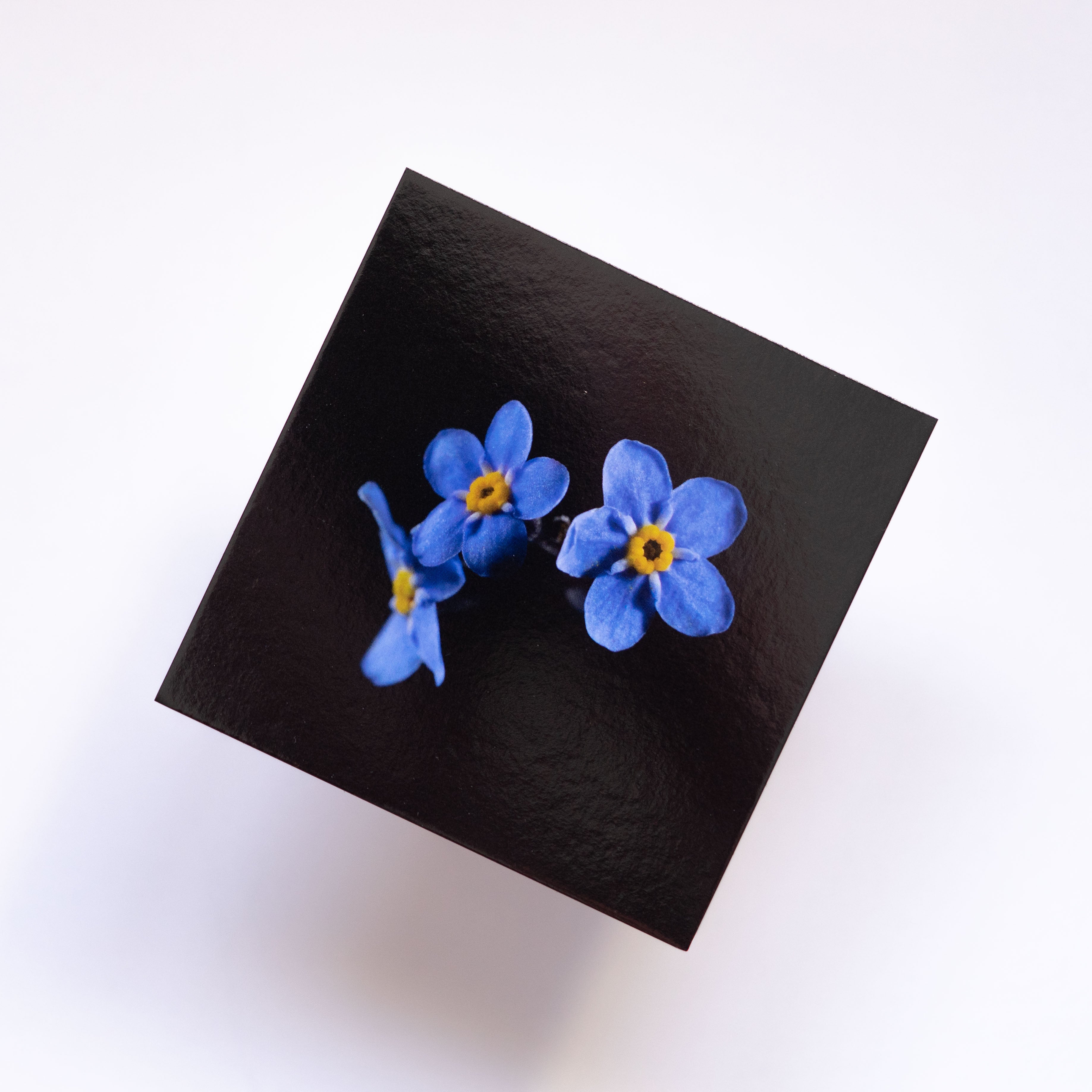 Cartes Postales "La clé des champs"