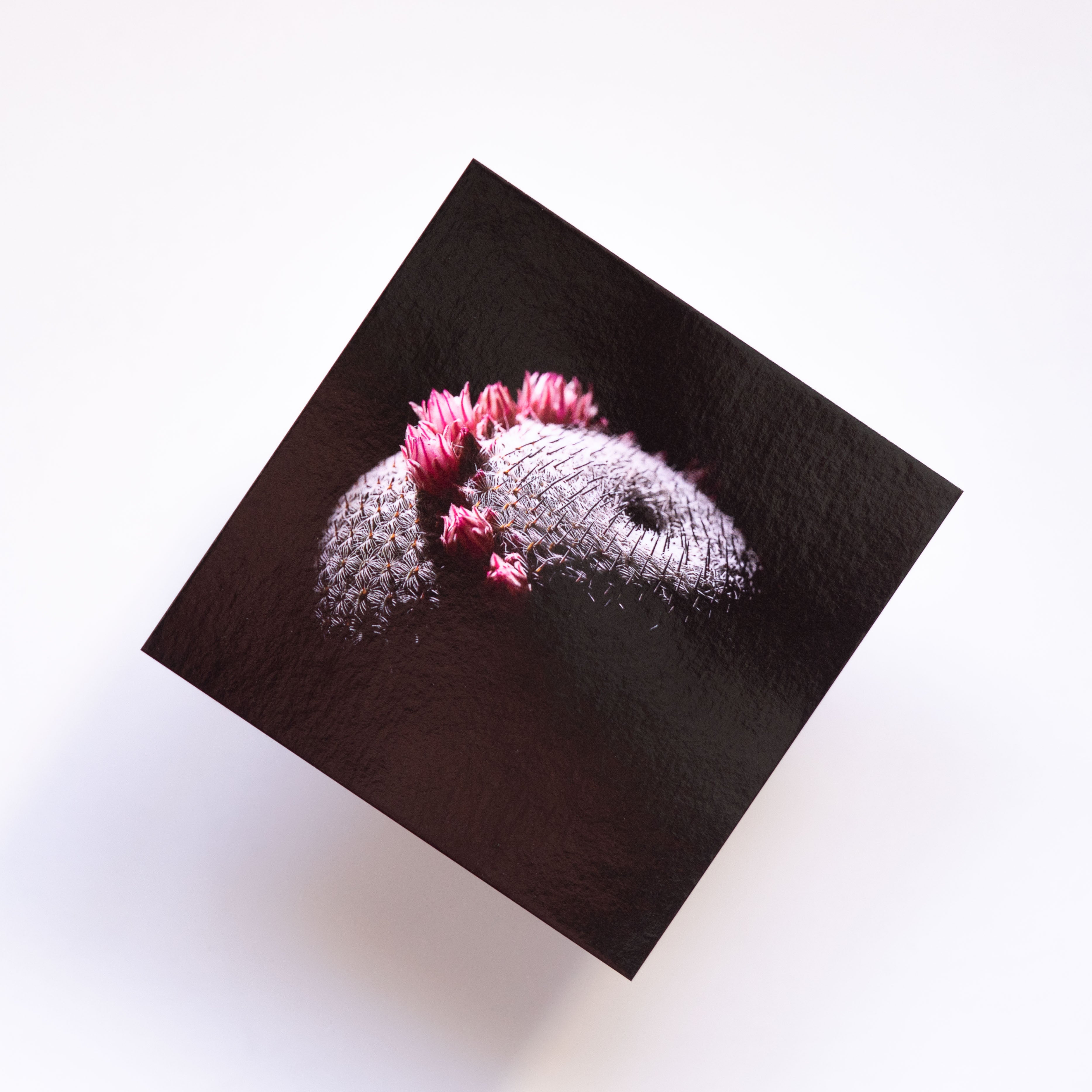 Cartes Postales "CAM style"