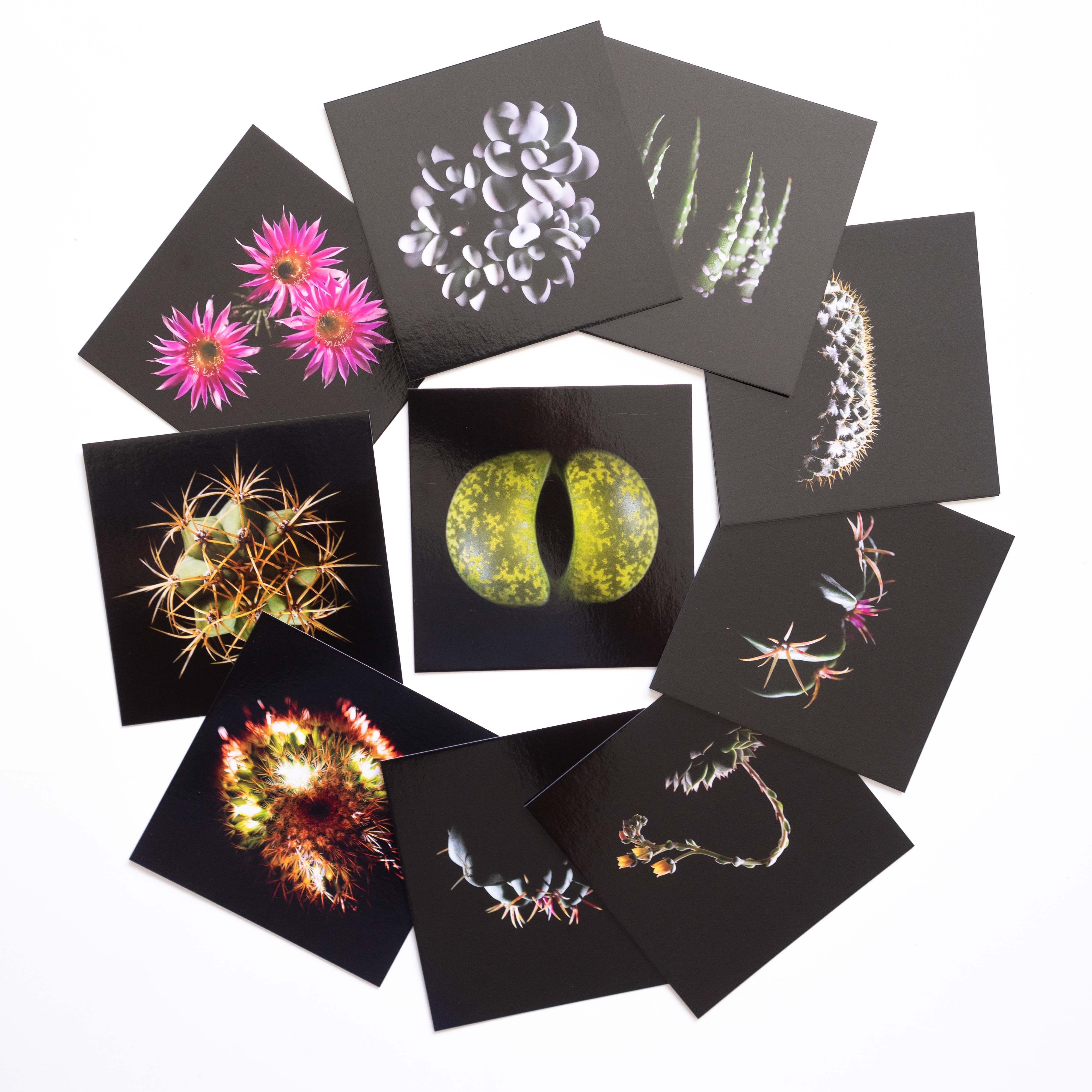 Cartes Postales "CAM style"