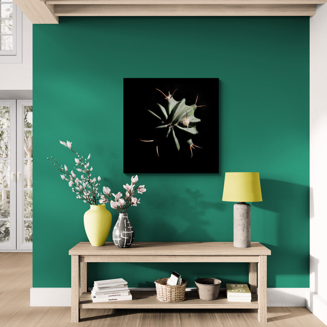 Echinocactus Coptonogonus