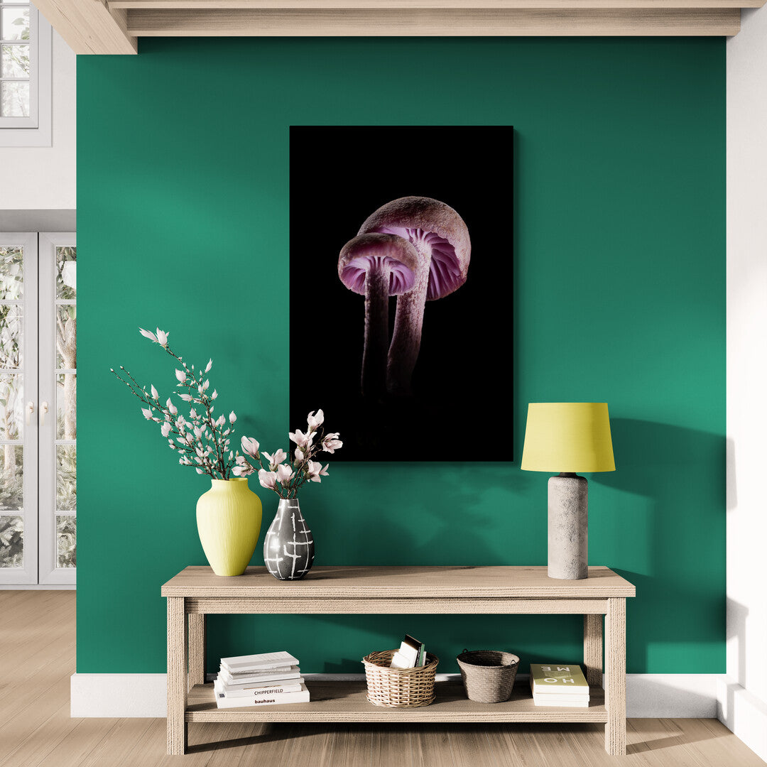 Laccaria Amethystina