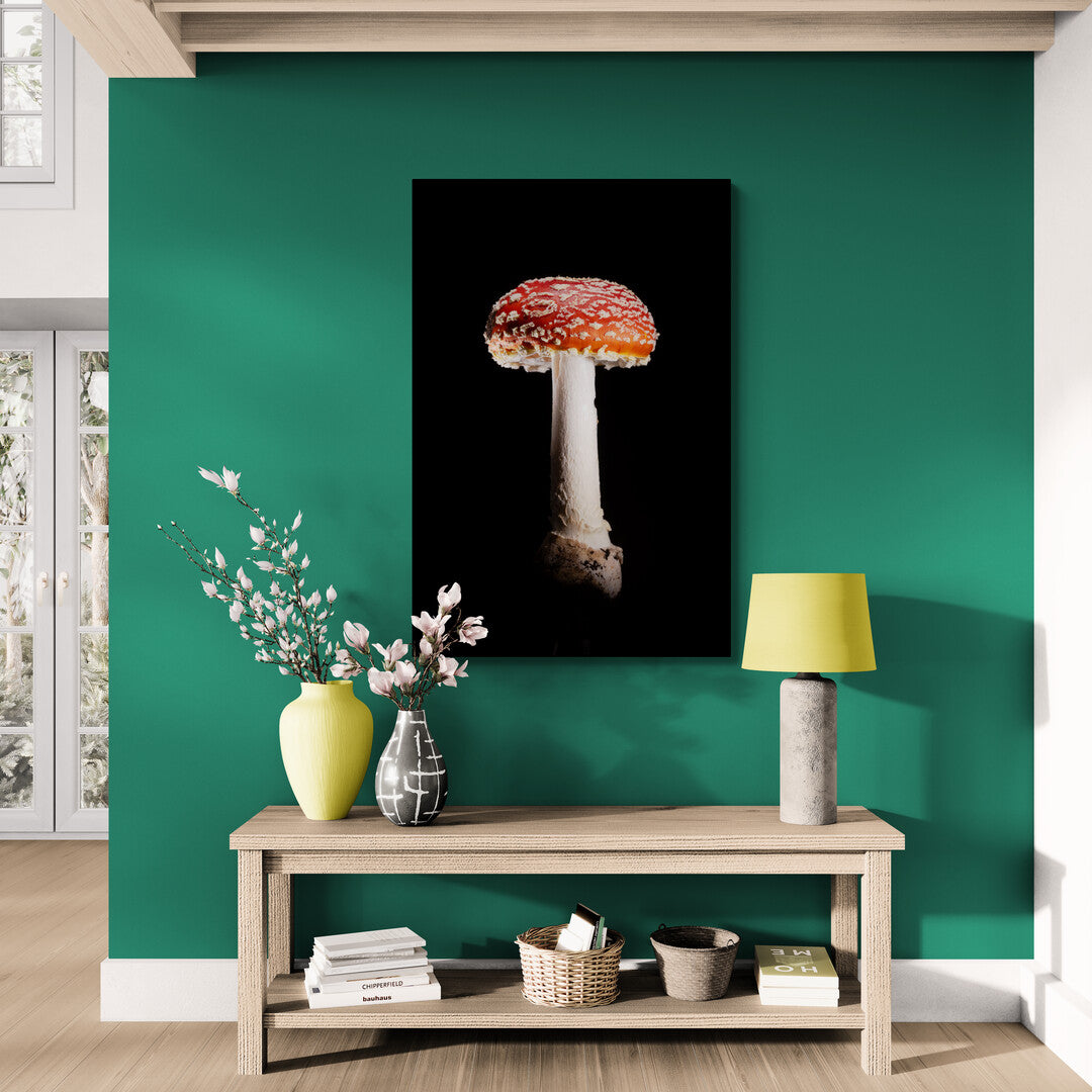 Amanita Muscaria
