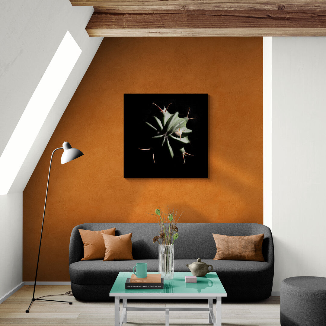 Echinocactus Coptonogonus