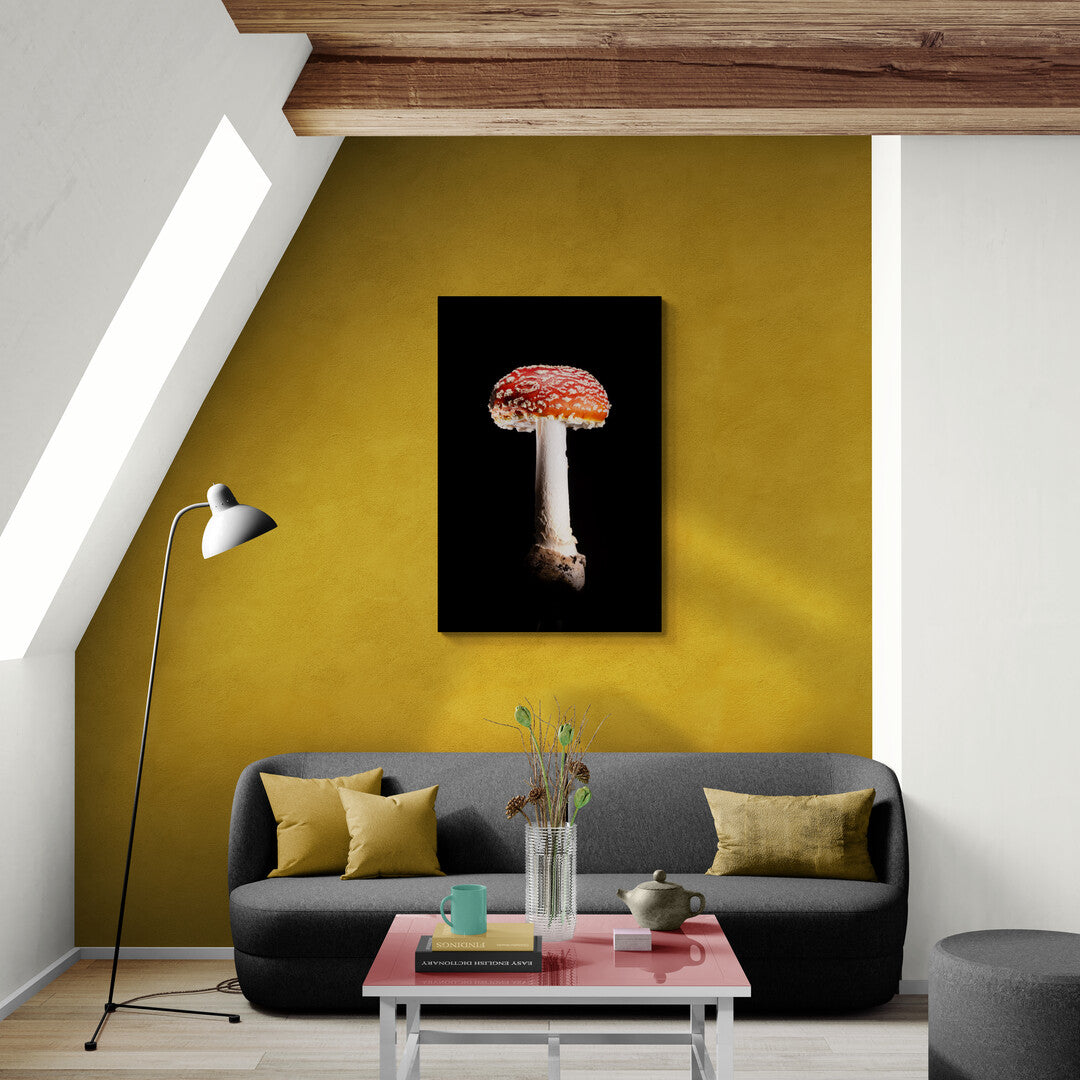 Amanita Muscaria